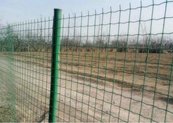China Euro Holland Farm Mesh Fencing Grass Green For Animal Isolation supplier