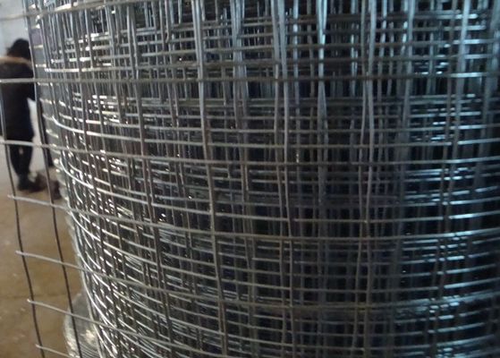 China High Strength Welded Wire Mesh Square Hole For Construction / Agriculture supplier