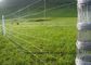 Hot Dip Galvanized Farm Mesh Fencing , Durable Farm Fence Panels supplier