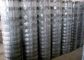 Knited Hinged Farm Mesh Fencing For Forestry / Cow , 2mm Dia Wire supplier