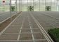 Rot Proof Galvanized Wire Fence Panels Durable For Greenhouse Seedling Bed supplier
