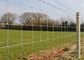 Galvanized Cattle Wire Fence / Knotted Wire Field Fence For Horse supplier