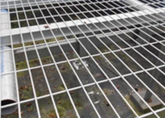 China Easily Assembled Welded Wire Mesh Panels Square Hole For Greenhouse Bed Nets supplier