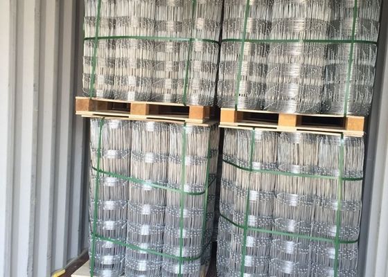 China Hot Dipped Galvanized Field Fence , Hinge Joint Wire Fencing Bright Color supplier