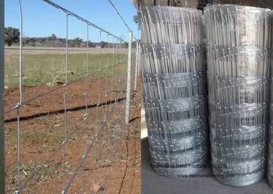 China Cattle Farming Fence / Hot-Dipped Filed Wire Mesh Fence For Poultry supplier