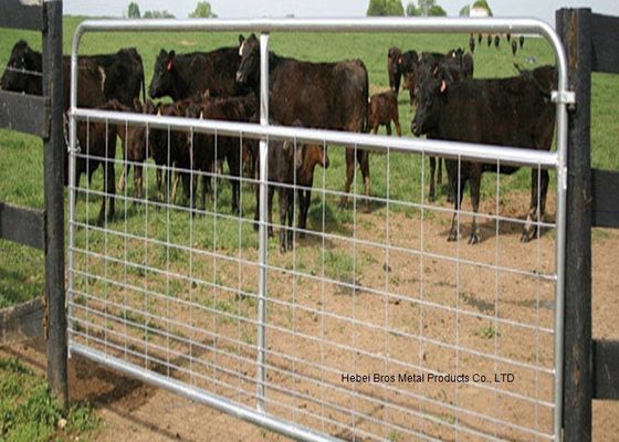 China Fully Welded Hot Dipped Gal. Farm Steel Gates , Liivestock Fence Panels supplier