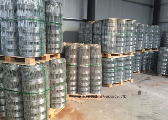 China 1.2 M Height galvanised Grassland Cattle Wire Fence 50m and 100m Length supplier