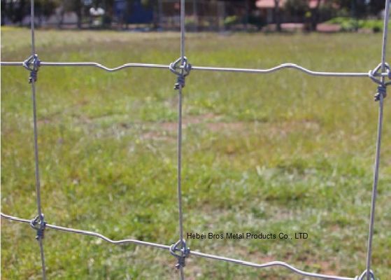 China Galvanized 5 FT Fixed Knot Woven Wire , Livestock Wire Fencing Panels supplier