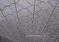 Hot Dipped Galvanized Hexagonal Woven Wire Netting For Poultry Cage supplier