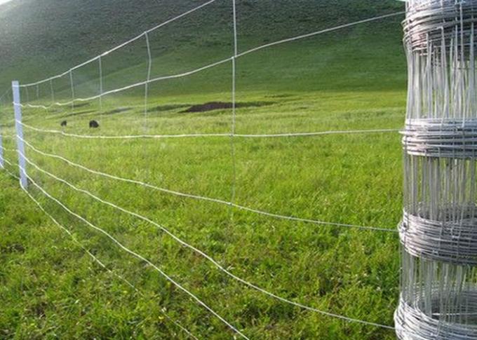 Hot Dipped Galvanized Field Fence , Hinge Joint Wire Fencing Bright Color