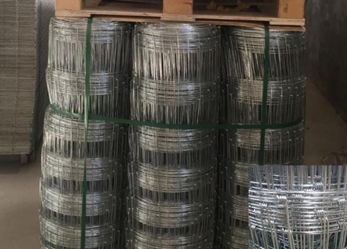 Hot Dipped Galvanized Field Fence , Hinge Joint Wire Fencing Bright Color