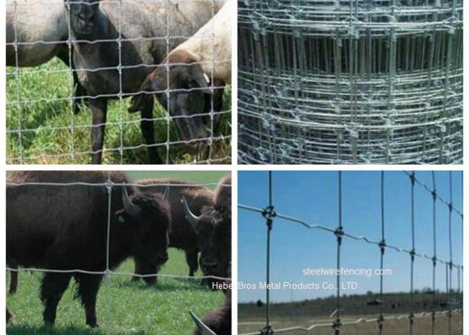 Galvanized Grassland Cattle Wire Fence / Fixed Knot Woven Deer Fence For Pasture
